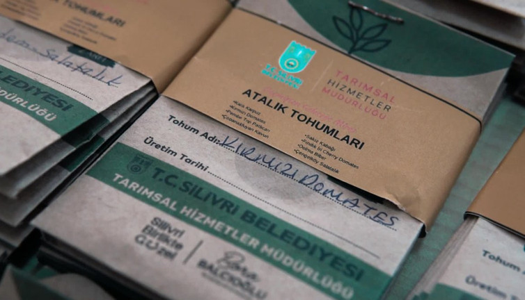 Silivri Belediyesi’nden tohum desteği