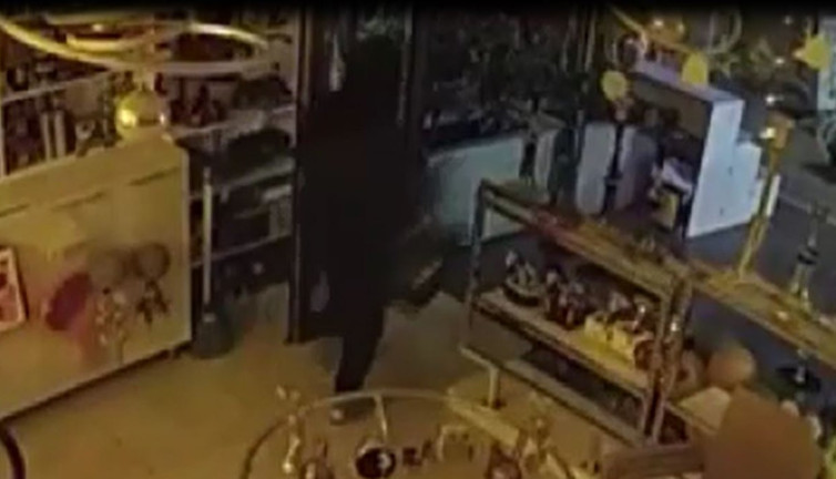 Dükkandan sadece papağanı çaldı