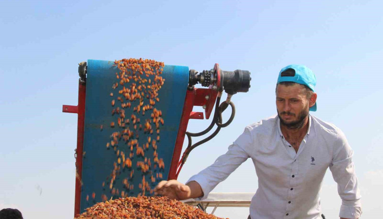 Çekirdeksiz kuru üzümde ihracat yüzde 13 arttı