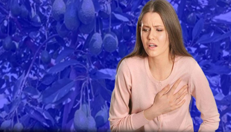 Kolesterolü dengeliyor, kanserle savaşıyor! Sağlıklı yaşam için 3 süper besin