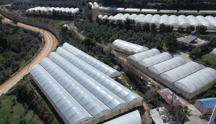 Unutkanlığı bitiriyor kansere set çekiyor. Eczaneyi evinize getiren sebze. Kilosu tarlada 80 TL