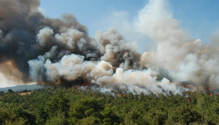 Çanakkale'de orman yangını! Müdahale ediliyor