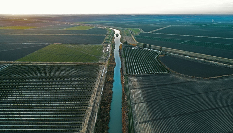 Tarım arazilerinin kullanımının etkinleştirilmesi projelerine bu yıl 679 milyon lira ödenek ayrıldı