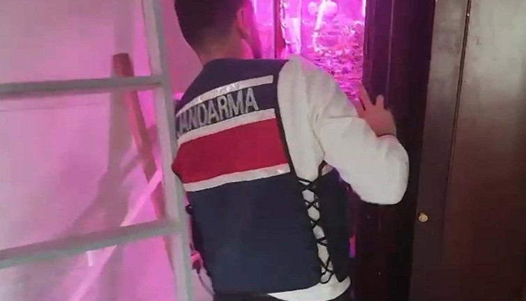 Marmaris'te uyuşturucu operasyonu: Arya görevde