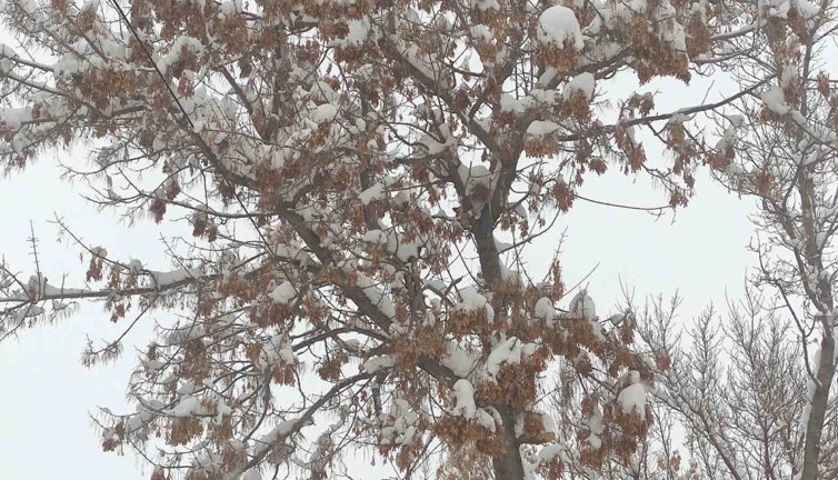 Ardahan’da kartpostallık kar görüntüleri