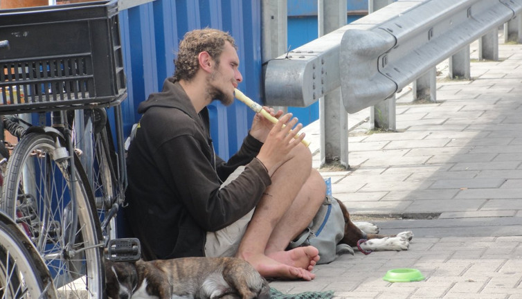 Hollanda’da işsizlik son üç yılın zirvesine ulaştı
