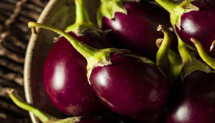 Patlıcan sapı basura iyi geliyor mu? Uzmanlar ve bilim bakın ne diyor!