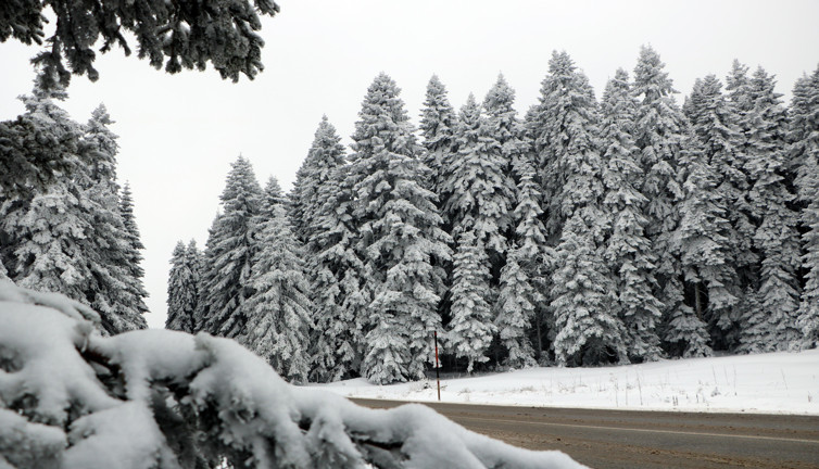 Bolu'nun yayla ve ormanlarında kar güzelliği!