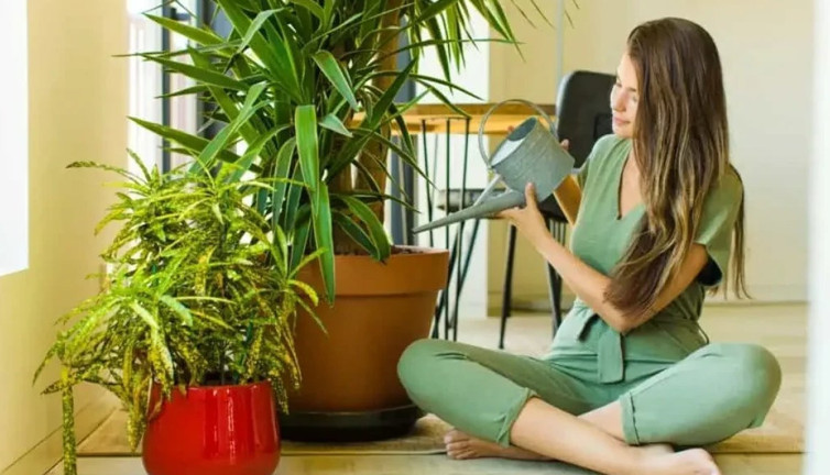 Bitkiler sakinlik getirir mi? İşin uzmanları anlatıyor