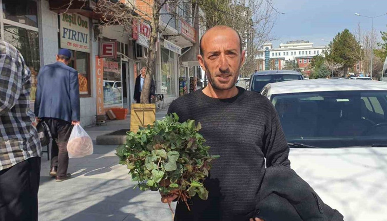 Yılın ilk kuzu kulağı! Tezgahlardaki yerini aldı