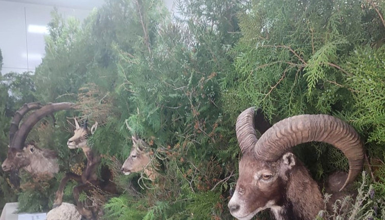 Doğanın güzellikleri bir arada