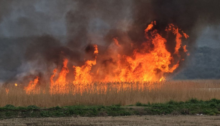 Gala Gölü Milli Parkı’nda korkutan yangın!