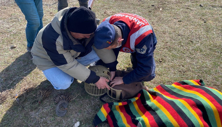 Jandarma keklik avcılarına göz açtırmadı! Çok sayıda keklik doğaya bırakıldı