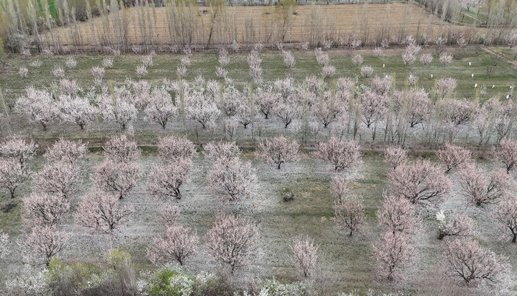Profesyonel fotoğrafçılar için efsane bir manzara