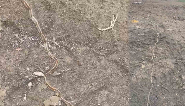 Türkiye'yi işgal ettiler konvoy halinde ilerliyorlar: Dokunanı anında öldürüyor!