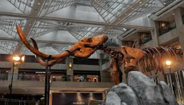 Tarih öncesi devler geri dönecek mi? Bilim dünyası şokta!