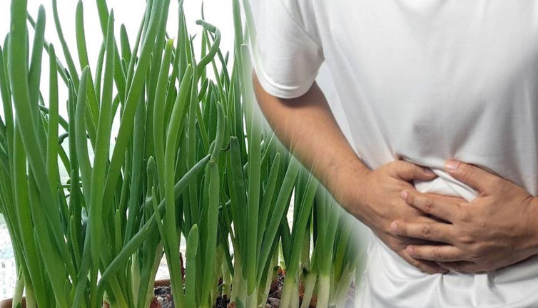 Balkonda bile kolayca yetiştirilebiliyor! Kalp, mide ve bağırsağa iyi geliyor! Adeta doğal antioksidan kaynağı