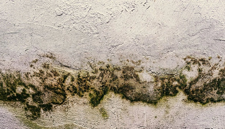 Binalar hastalık mı saçıyorlar? Uzmanlar anlatıyor