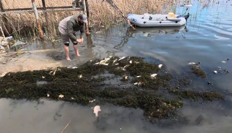"Hayalet ağ" katliamı