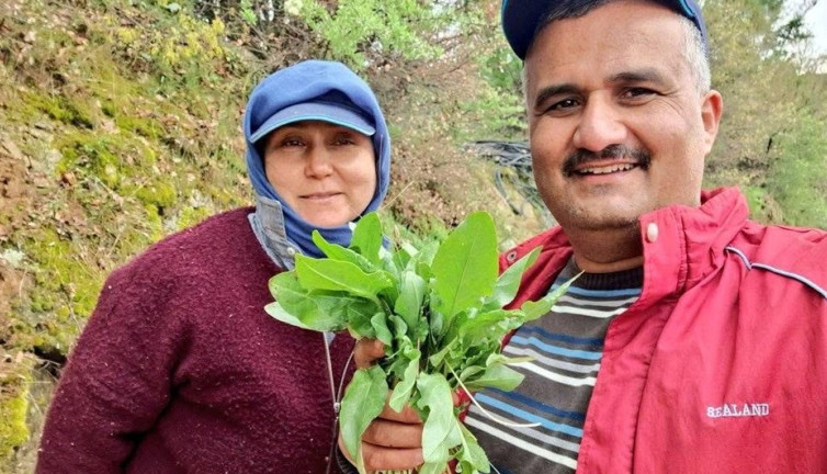 Sarıgöl’de kuzugöbeği ve acı ot mesaisi başladı