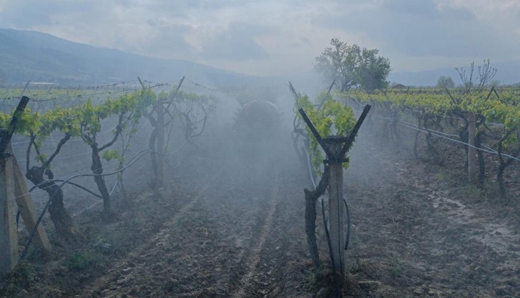 Bağlarda ilaçlama çalışması başladı
