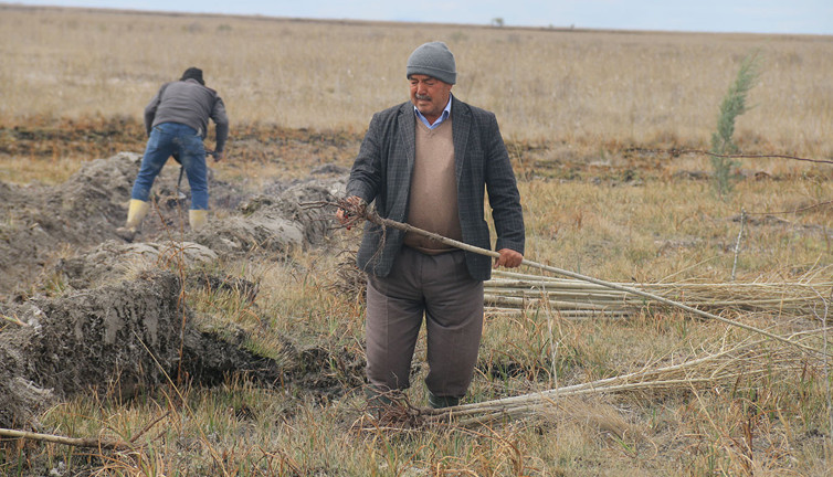 Tuz Gölü çevresine binlerce fidan dikildi