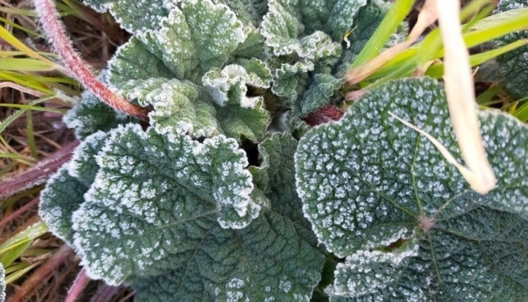 Eskişehir'de yağış ve zirai don uyarısı