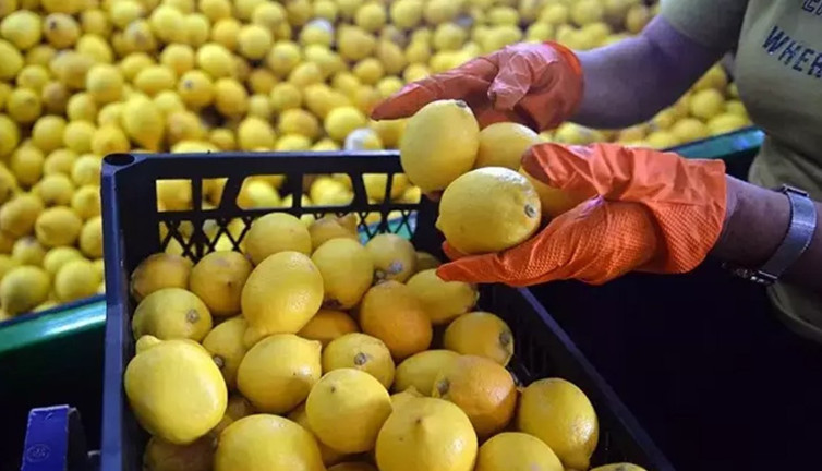 Ticaret Bakanlığı'ndan şok limon kararı! Tamamen durduruldu...