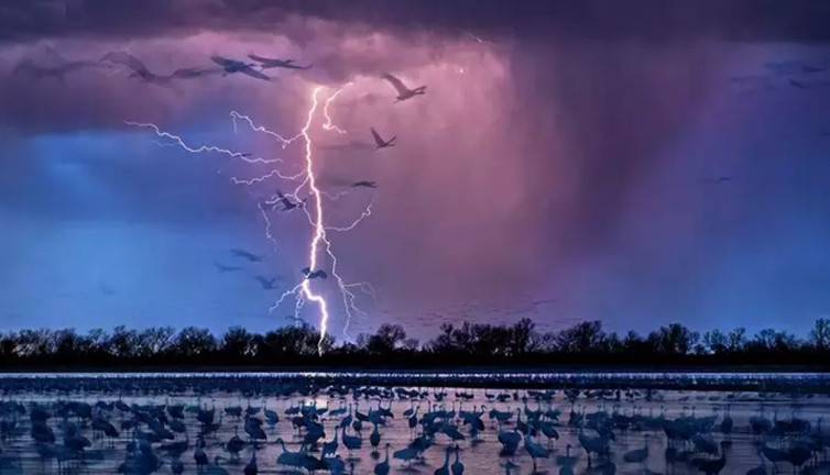 Hindistan'da yıldırım felaketi! Can kaybı yükseliyor