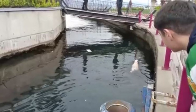 Karamürsel’de su kanalında can pazarı! İtfaiyeden için nefes kesen operasyon!