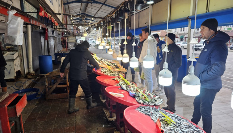 Hamsinin fiyatı şoke etti