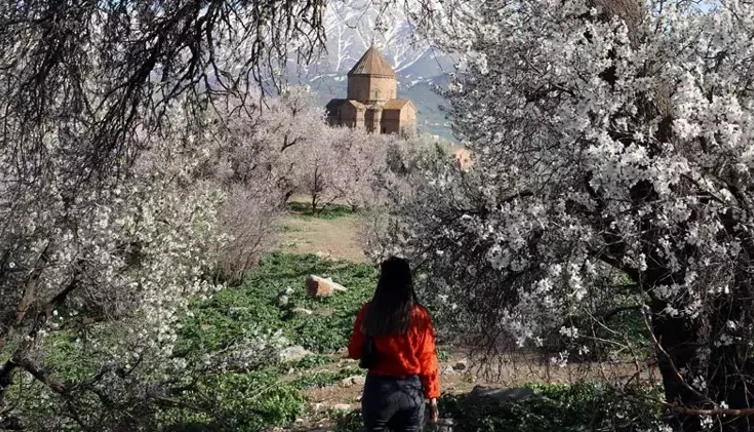 Van'da kimsenin duymadığı festival aklınızı alacak! Sakura'yı unutun