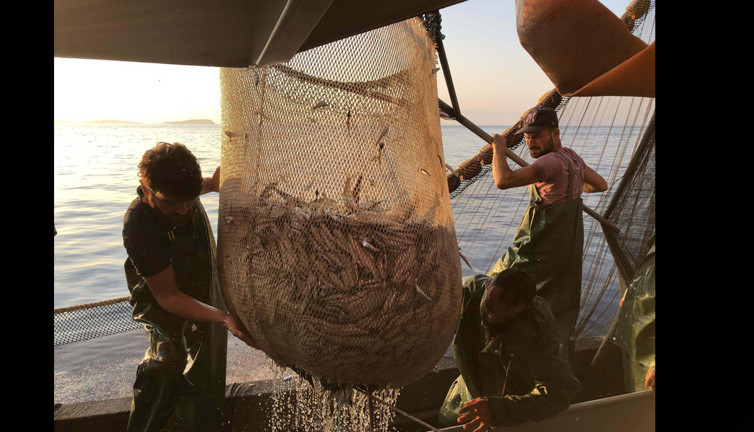 Türkiye’de sular sessizleşiyor: 31 Ağustos’a kadar yasak: Uymayanlara rekor ceza verilecek