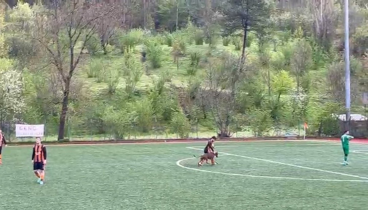 Amatör maçta sahaya köpek girdi