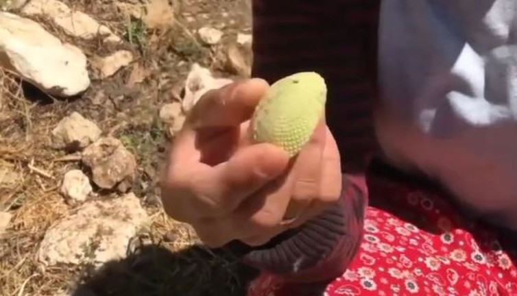 Kimse dönüp bakmıyordu oysa mucizeleri saymakla bitmiyor. Milyonlarca çaresiz hastaya umut oluyor