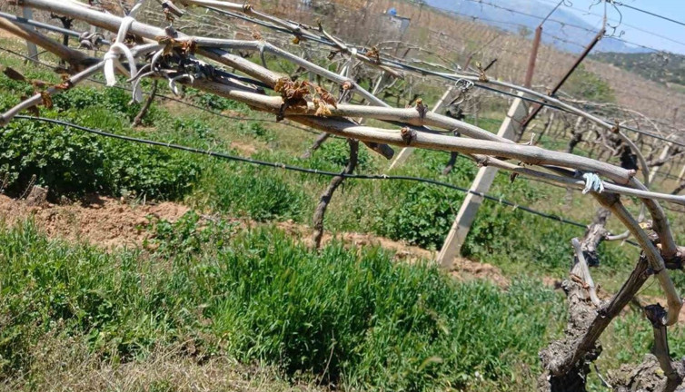 Don afetini yaşadı çalışmaya ara vermedi