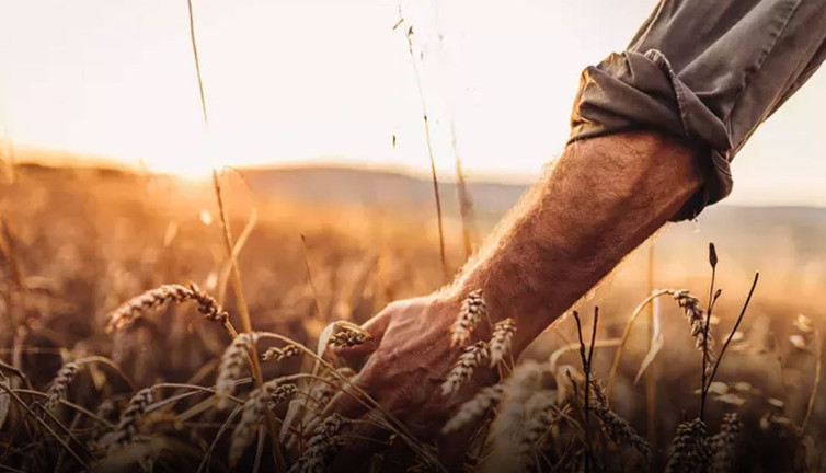 Çiftçilere destek müjdesi! Bugün hesaplarına yatırılacak