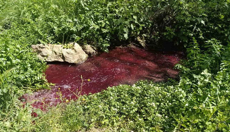 Dereye bakın bir daha bakıyor! Çiftçiler çaresiz: Tarlalar kurumaya başladı