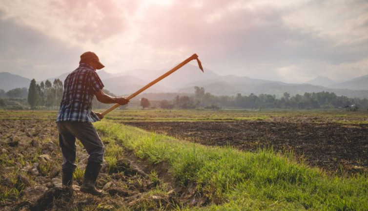 Çiftçi tarlasını çapalarken buldu askerler 24 saat nöbet tutuyor. Dünyada eşi benzeri yok