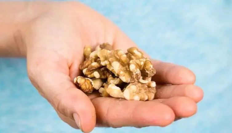 Günde bir avuç yenen ceviz mucize saçıyor! Sağlığa faydaları ağızları açık bırakacak