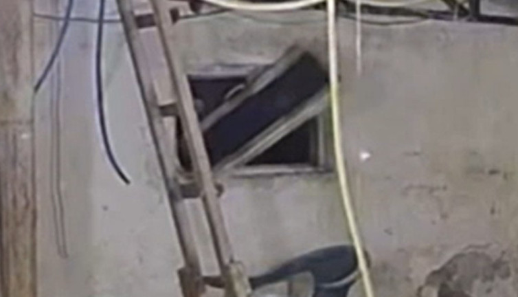 Aç kalan ayı kümese saldırdı! O anlar kamerada...