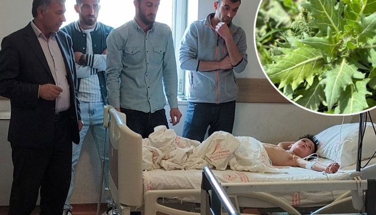 Kars’ta alarm! 'Güzelavrat' kabusu! Zehirli ot çocukları vurdu