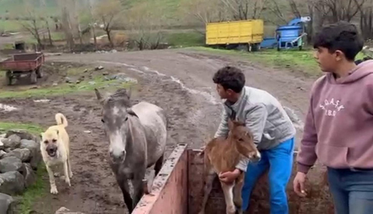 'Kral' dostluğuyla göz dolduruyor!