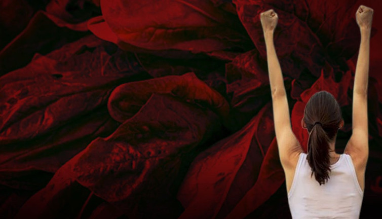 Demir hazinesi 4 besin! Vücudu sapasağlam yapıyorlar