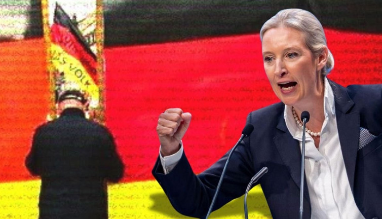 Alman demokrasisi yol ayrımında: Siyasi parti için halk "kapatın" diyor