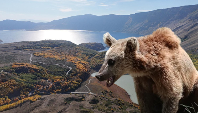 Bitlis Valiliği'nden Nemrut'a giden piknikçilere kritik uyarı: Ayılara yaklaşmayın!