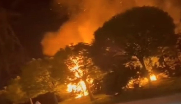 Sultangazi'de ormanlık alanda yangın