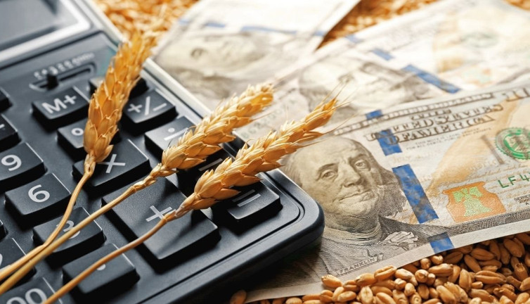 Buğday fiyatlarında toparlanma sinyali