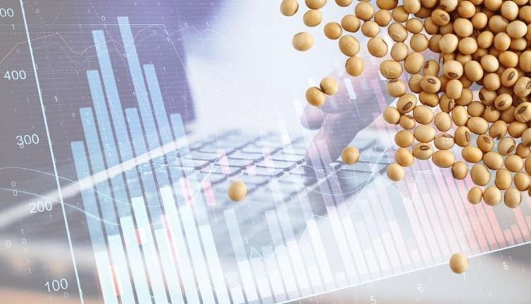 Soya fasulyesi fiyatlarında durgunluk