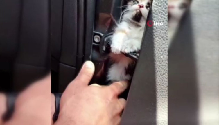 Aracın kapısına sıkışan kedi için nefes kesen kurtarma!